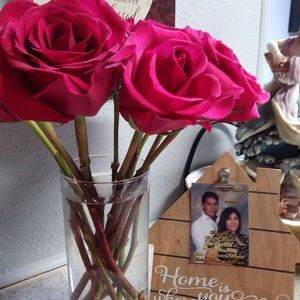 Meet your Posher, Lorena